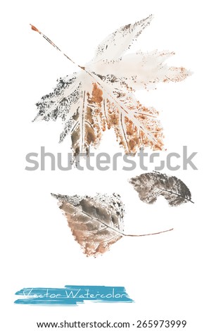 A vector watercolor: painting of autumn leaves of maple tree, poplar tree and ash tree made as watercolor monotype