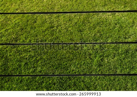 unusual grassy boards background