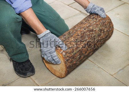Master holds in his hands Billet of logs on floor