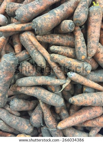 Dirty carrot as background
