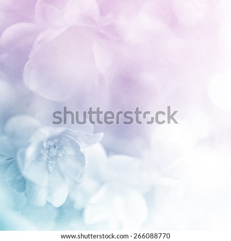 vivid color roses flower in soft and blur style on mulberry paper texture