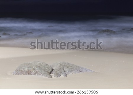 Night scene of rocky beach. Taken with low speed shutter and extra studio light.