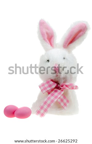 Easter bunny isolated on a white background