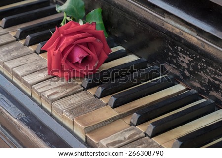 Rose on vintage antique wood piano 