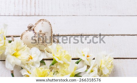 Fresh  spring yellow narcissus and decorative  heart  on white painted wooden planks. Selective focus. Place for text.