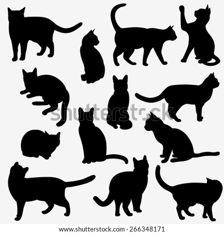 Set of cats Silhouettes on a white background.