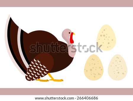 Illustration of brown turkey with eggs. 