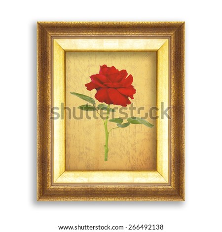 red rose on golden frame with empty grunge paper for your picture