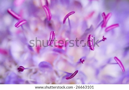 Tipped stamens