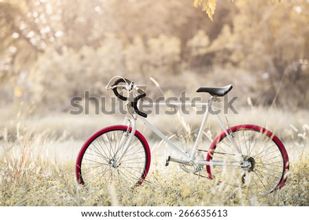 Sport Vintage Bicycle with Summer grass field ; vintage filter style