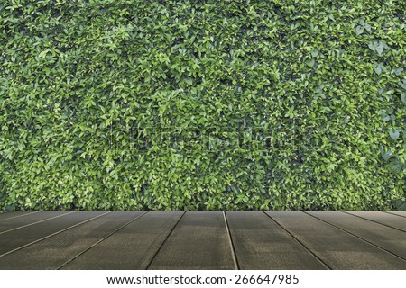 Green leaves wall and wooden floor texture