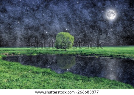 Tree under the moon