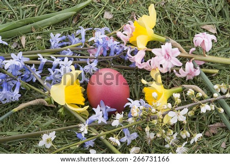 easter red egg and spring flowers on green grass