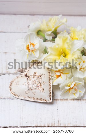 Fresh  spring yellow narcissus flowers and decorative  heart  on white painted wooden background. Selective focus. Place for text.