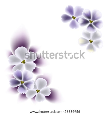 vector illustration of flower