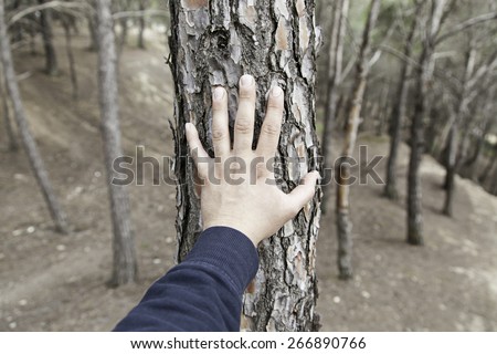 Male hand touching a tree, detail of love for nature, environment