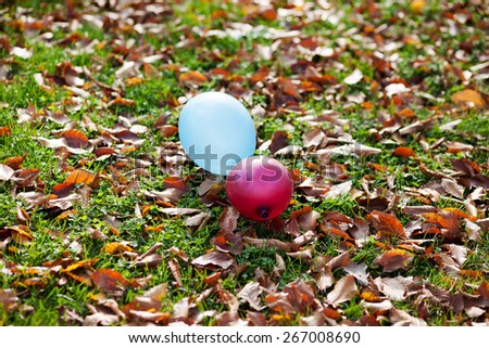 Colorful balloons in nature with leaves