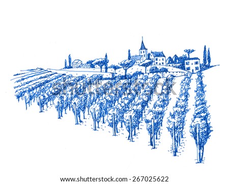 vineyard landscape ink pen picture