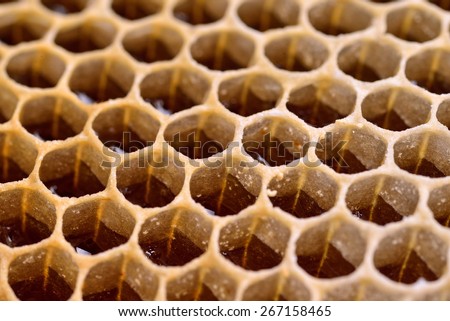 made entirely by natural bee honey comb