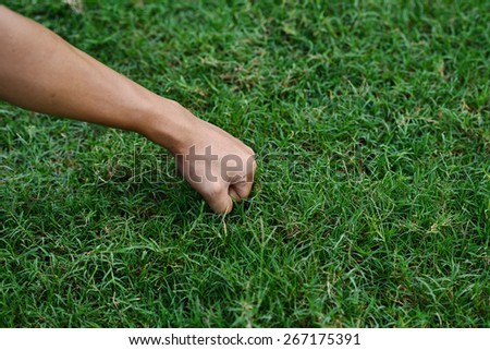 hand - grass background