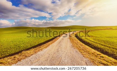 Beautiful landscape with road, green fields and blue sky in the background.