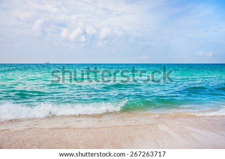 Beautiful beach and tropical sea. Summer landscape. Travel background
