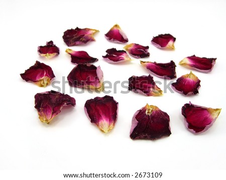 Beautiful petals of roses on a white background