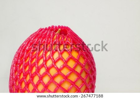 Delicious ripe cantaloupe was protected with plastic mesh