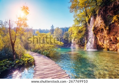 Majestic view on turquoise water and sunny beams in the Plitvice Lakes National Park. Croatia. Europe. Dramatic unusual scene. Beauty world. Retro filter and vintage style. Instagram toning effect. Royalty-Free Stock Photo #267769910