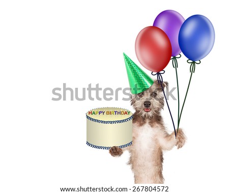 Cute and happy dog carrying a birthday cake and colorful balloons. Image has copyspace room for text.