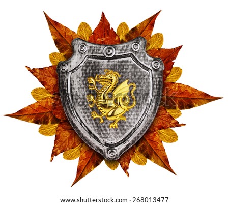 Family coat, shield emblem isolated on white