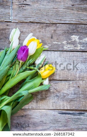 Tulips on a wooden background 