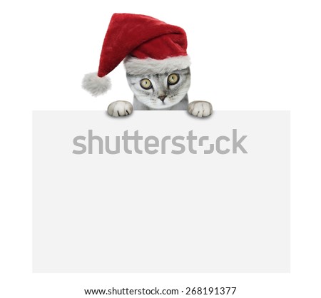 christmas kitten holding poster