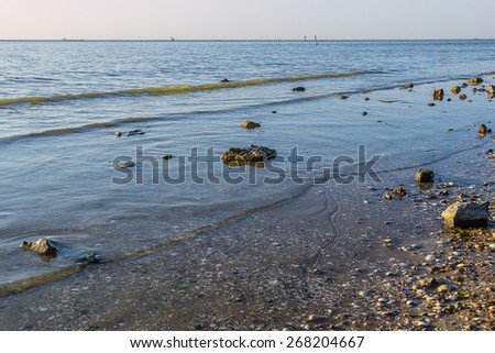 Beach with stones and seashells at sunset
