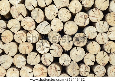 Big wall of stacked wood logs showing natural discoloration, close up