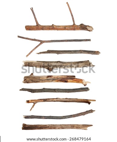 macro dry branches isolated on white background, with clipping path, (high resolution)