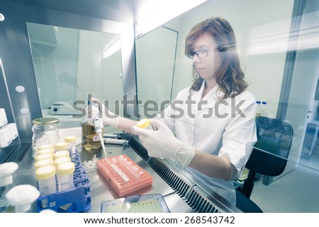 Female life scientist researching in laboratory, pipetting cell culture medium samples in laminar flow. Photo taken from laminar interior.