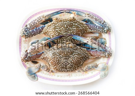 horse crab  