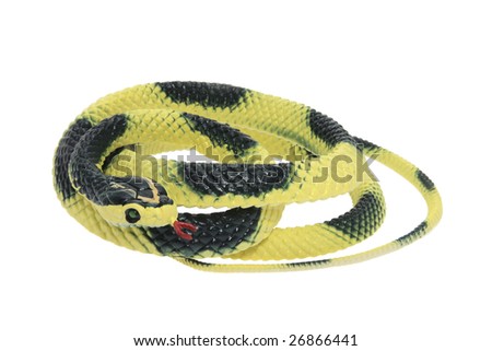 Rubber Snake on Isolated White Background