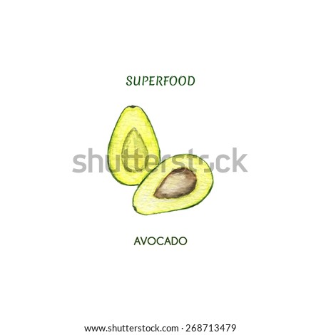 Vector illustration of watercolor avocado. Hand drawn. Superfood.