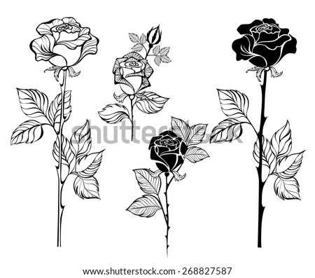 Set of painted art, contour roses on white background.