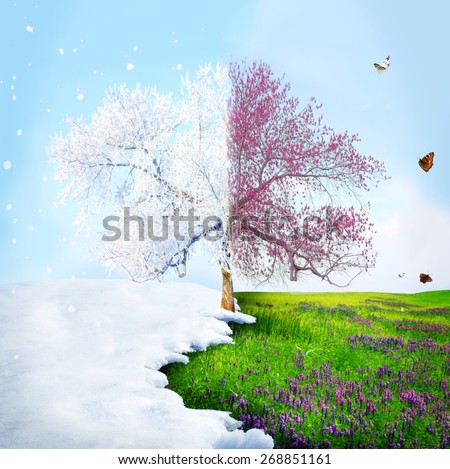 Season change from winter to spring Royalty-Free Stock Photo #268851161