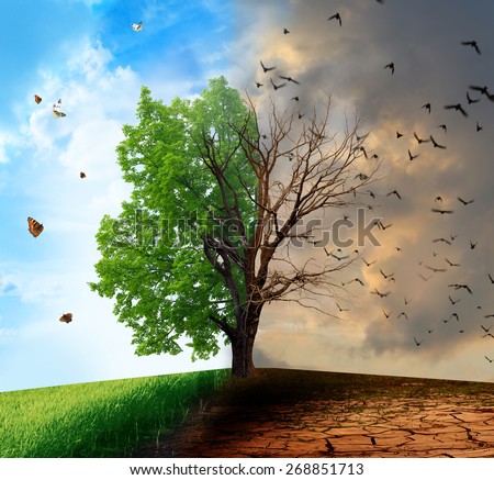 Creative concept landscape. Live and dead tree Royalty-Free Stock Photo #268851713