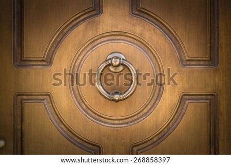 Detail of a wooden door with brass knocker.