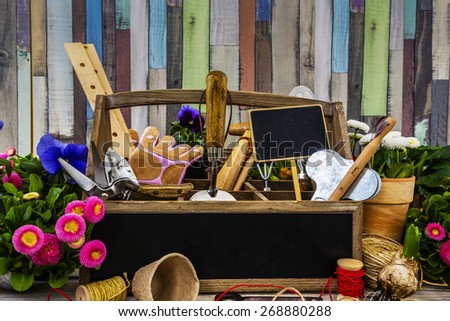 Garden tools, flowers and seeds on a wooden background