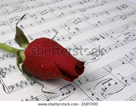 Red rose on notesheet