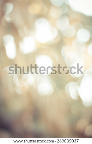 Natural Bokeh vintage colour Background in thailand