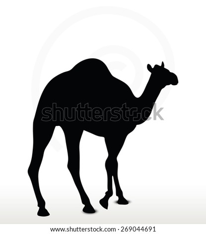 Vector Image - camel in Walking pose  isolated on white background
