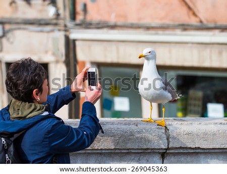 Photographer taking seagull photo