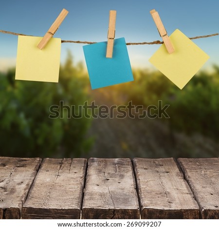 Clothesline, Clothespin, Adhesive Note.